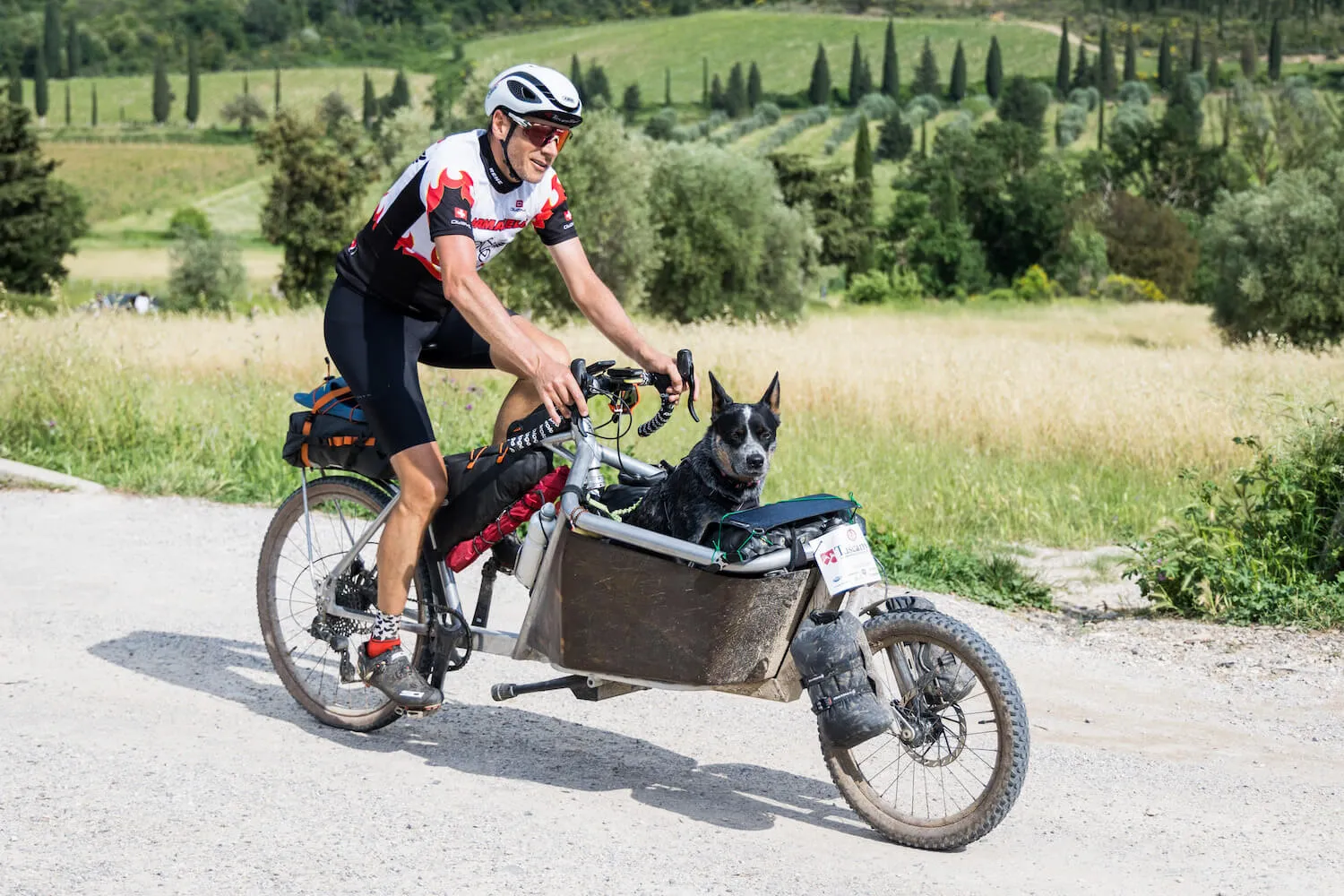 Un rider con un cane nella cargo bike