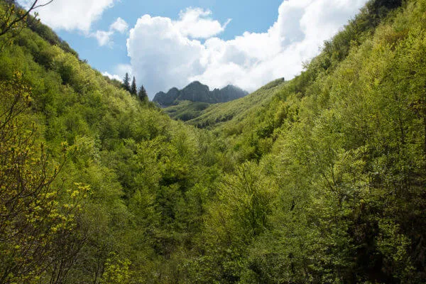 Tuscany Trail 2014, foto 9 di 20