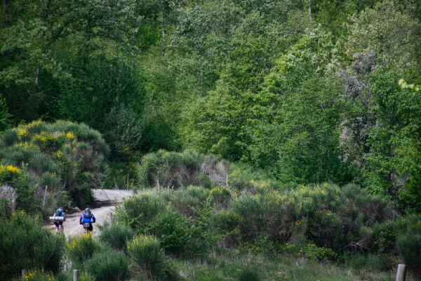 Tuscany Trail 2014, foto 11 di 20