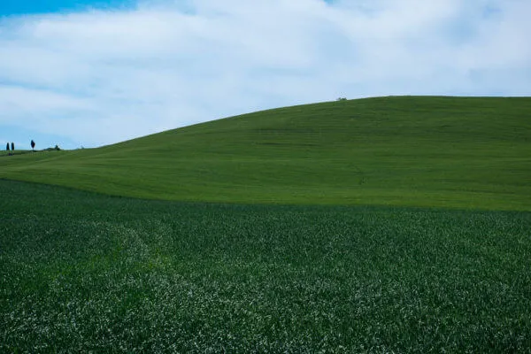 Tuscany Trail 2014, foto 15 di 20