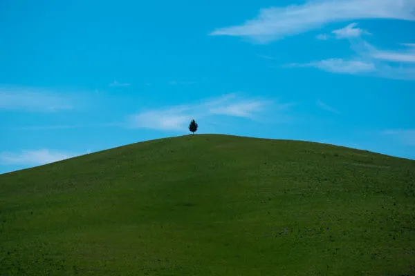 Tuscany Trail 2014, foto 16 di 20