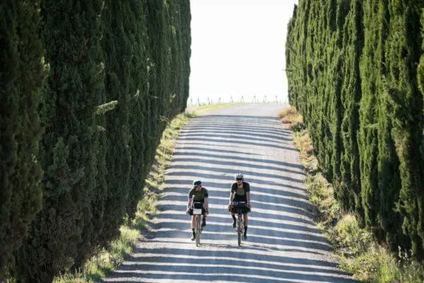 Due rider su un viale di cipressi