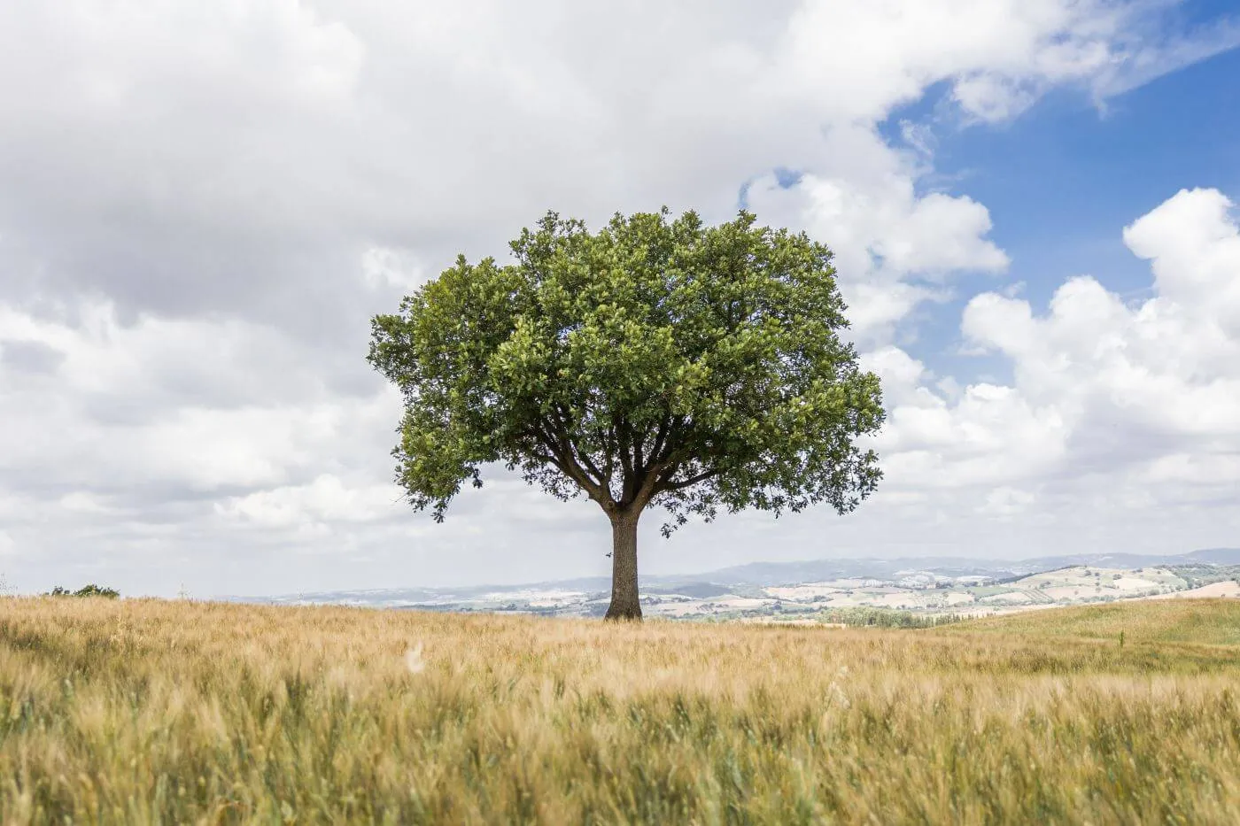 Tuscany Trail 2022, foto 14 di 80