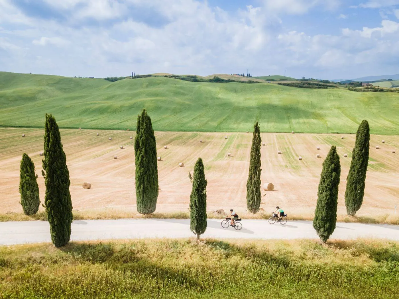 Rider lungo un filare di cipressi