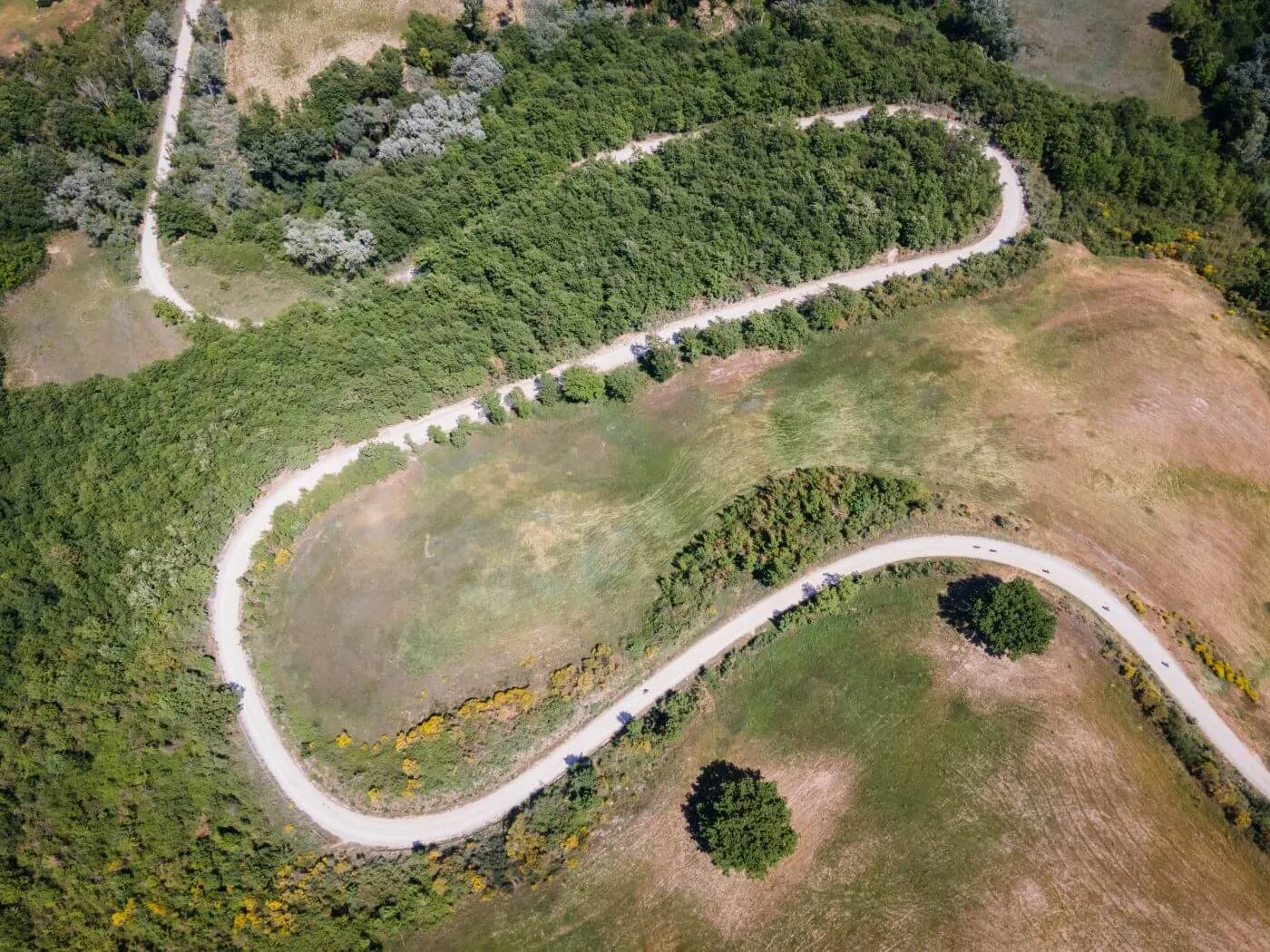 Una strada bianca a tornanti fra i campi, vista dall'alto