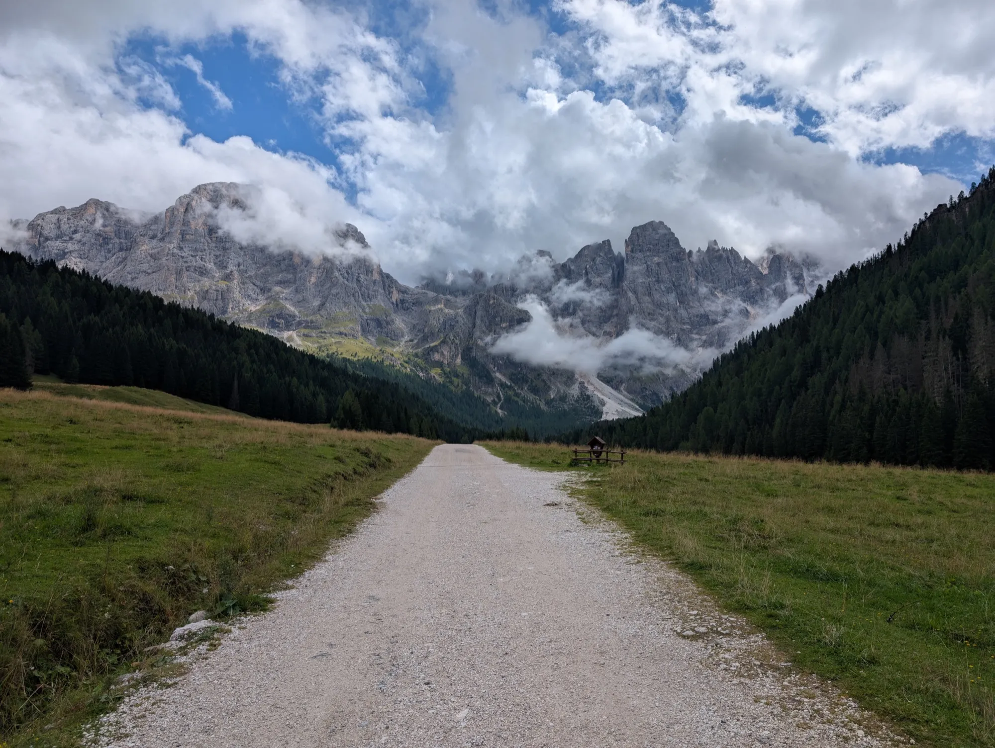 Una strada bianca che sale verso le Dolomiti, fra il prato e il bosco
