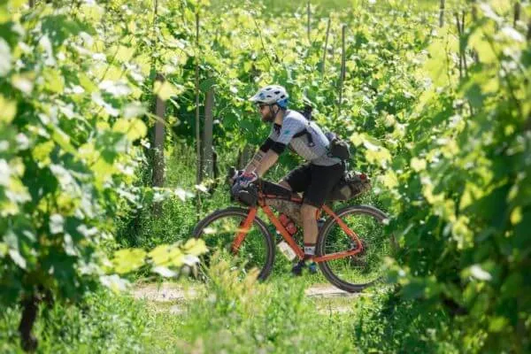 Tuscany Trail 2018, foto 15 di 28