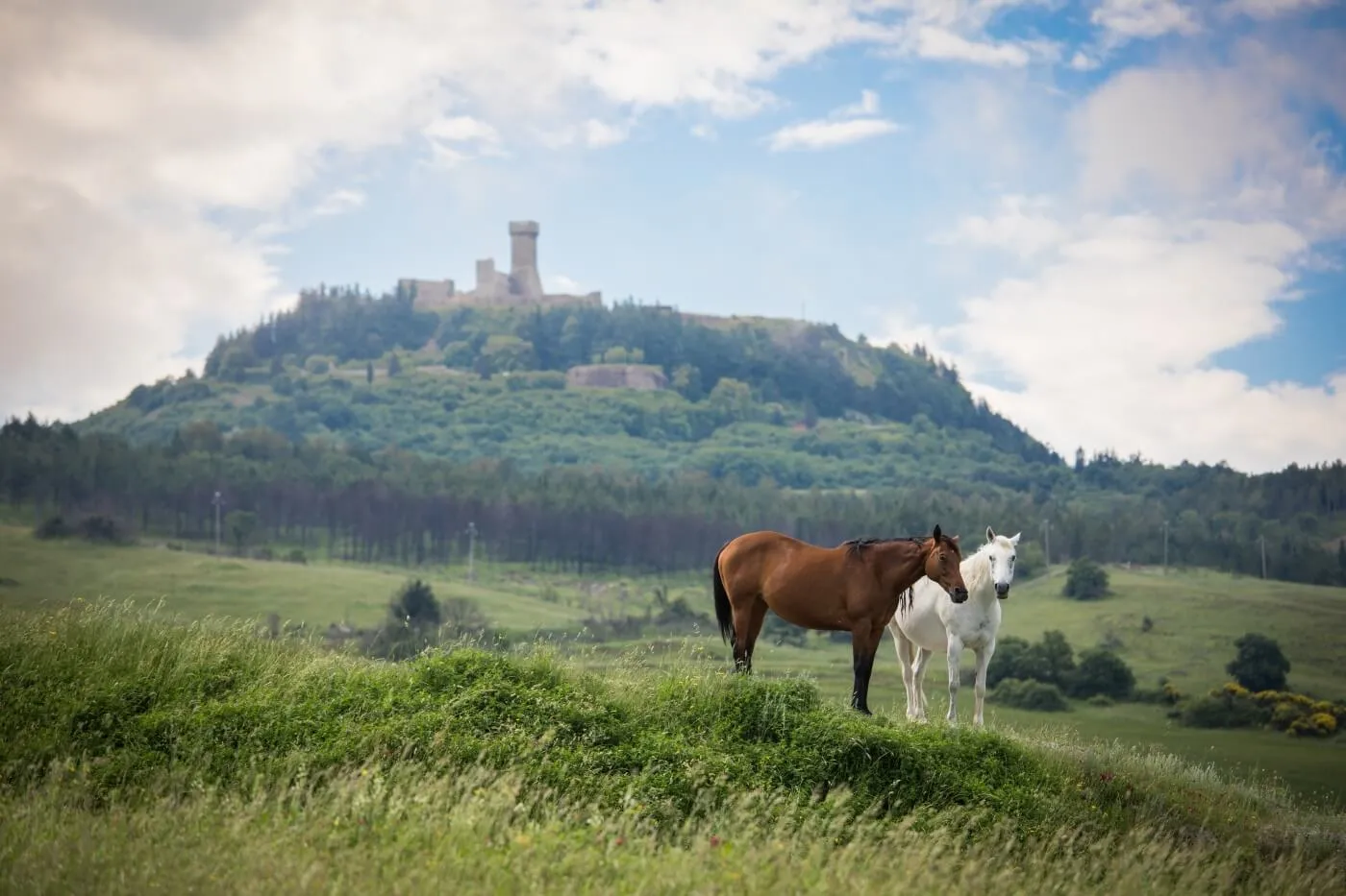 Tuscany Trail 2018, foto 24 di 28