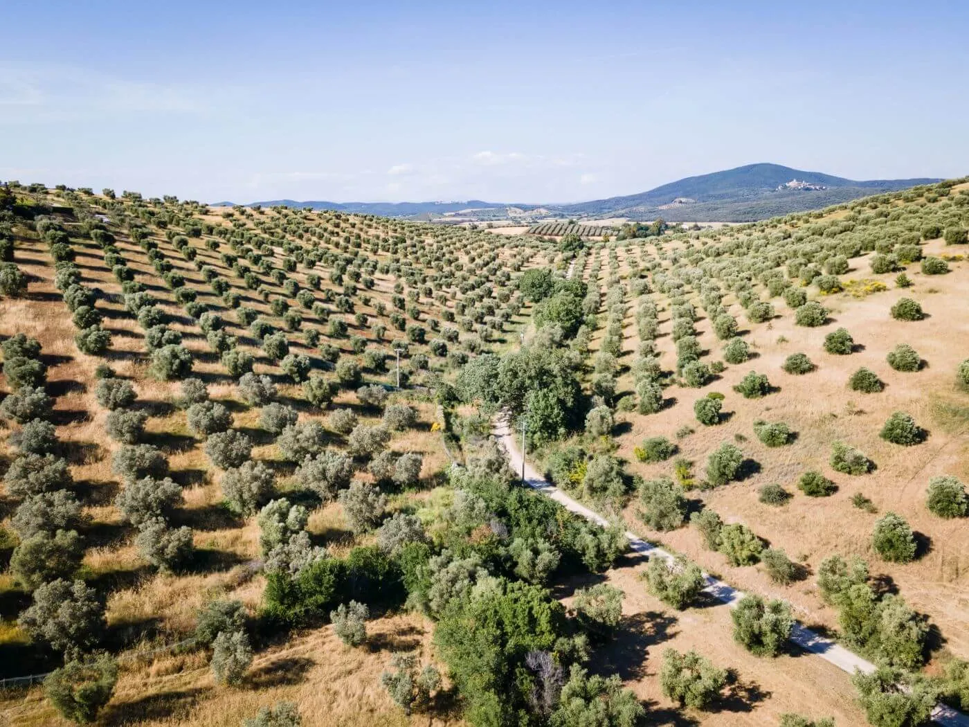 Tuscany Trail 2021, foto 12 di 45