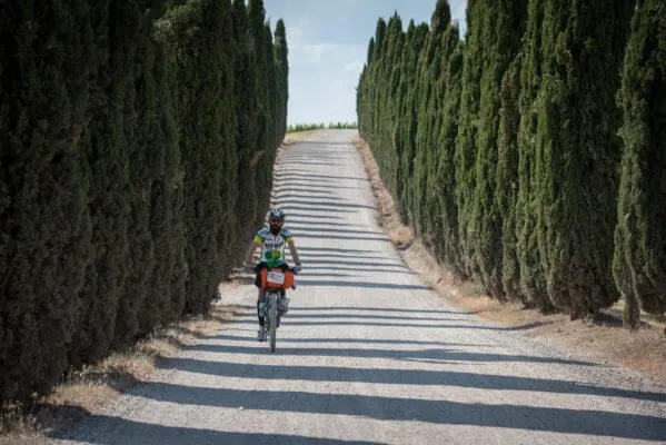 Un rider su un viale di cipressi