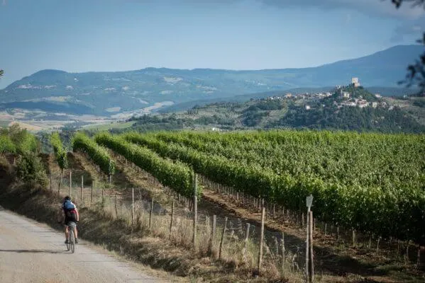 Tuscany Trail 2017, foto 11 di 13