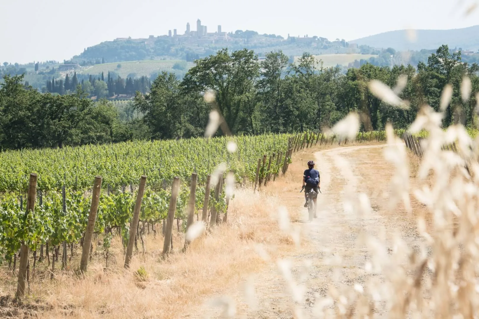 Un rider nei vigneti, con le torri sullo sfondo