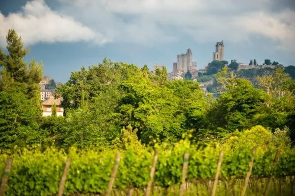 Tuscany Trail 2016, foto 26 di 33